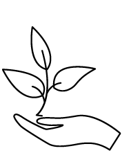 iconos-19